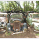 Illustration for article titled All 700+ Historischer Autofriedhof Gürbetal Cars To Be Sold!